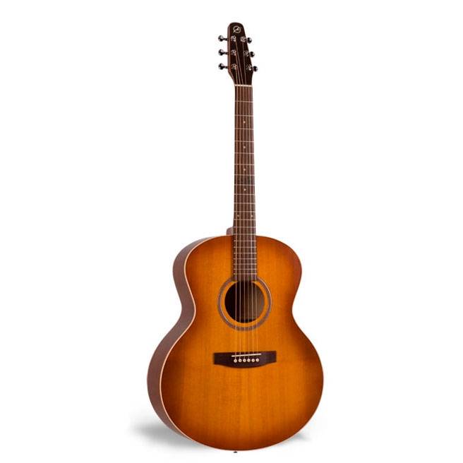 Seagull Entourage Mini Jumbo Gitaar