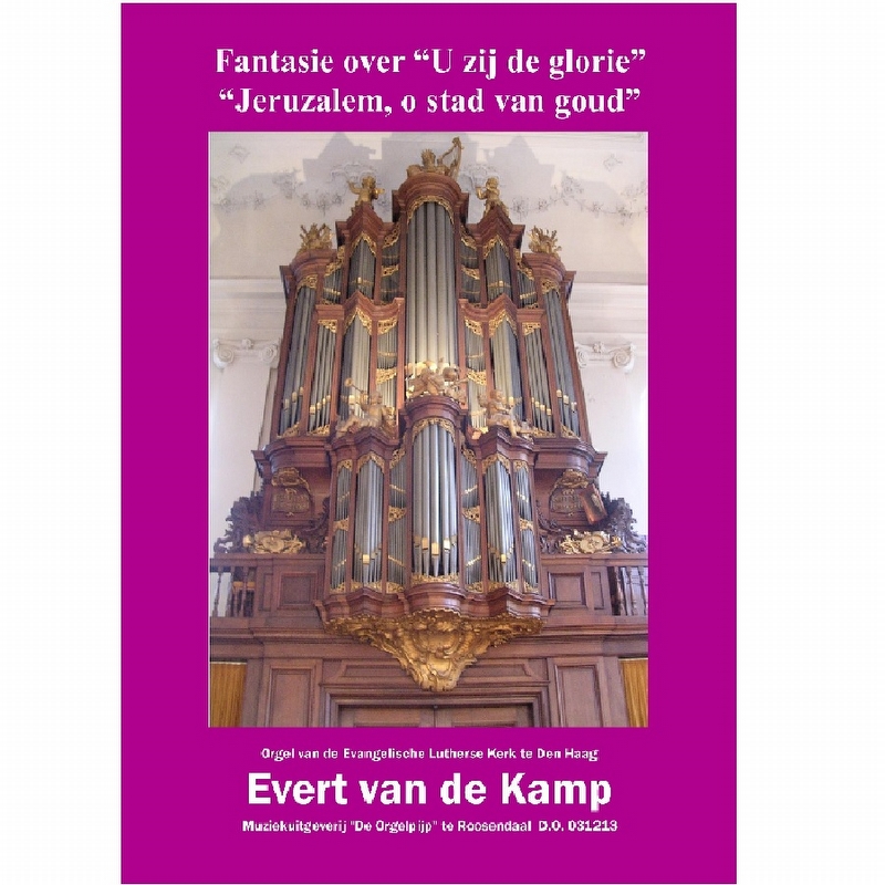 Evert van de Kamp - 031213