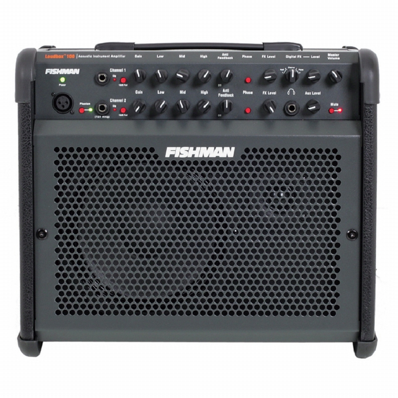 Fishman Loudbox 100 incl. Cover