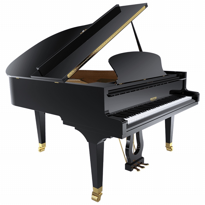 Pleyel P170BLK Grand Piano