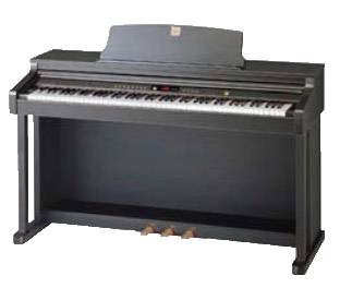 Sejung SJP-330 Digitalpiano - Gebraucht