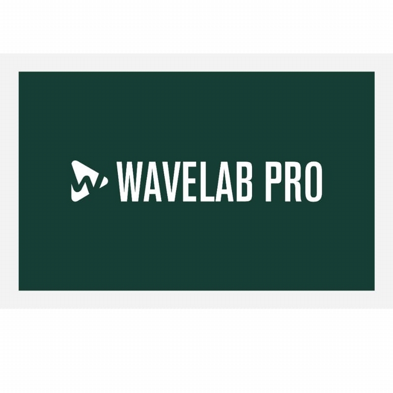 Steinberg Wavelab Pro 12 - Mastering Software