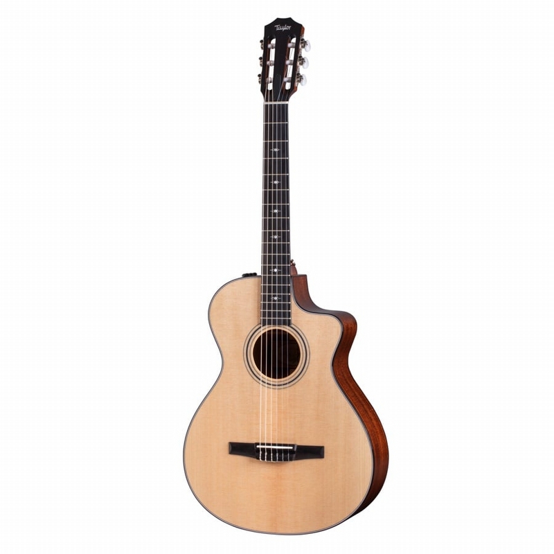 Taylor 312ce-N 