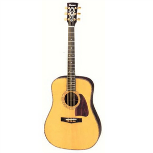 Ibanez AW200 incl. hoes - Occasion