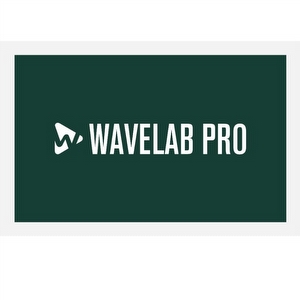 Steinberg Wavelab Pro 12 - Mastering Software