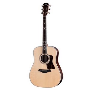 Taylor Legacy 810e