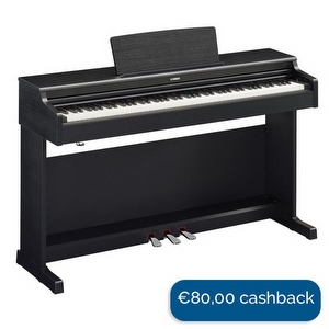 Yamaha YDP-165B Digital Piano - Black