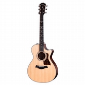 Taylor 312ce