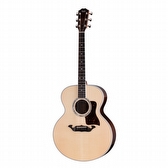 Taylor Legacy 815e