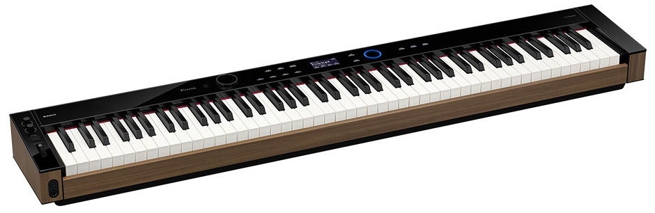 Casio Portable Piano's - casio-px-s6000