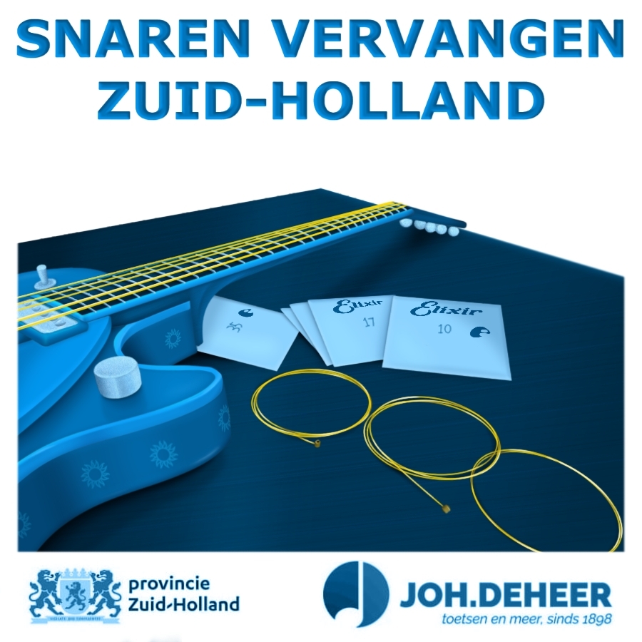 Snaren Vervangen Zuid-Holland - snarenvervangenzuidholland