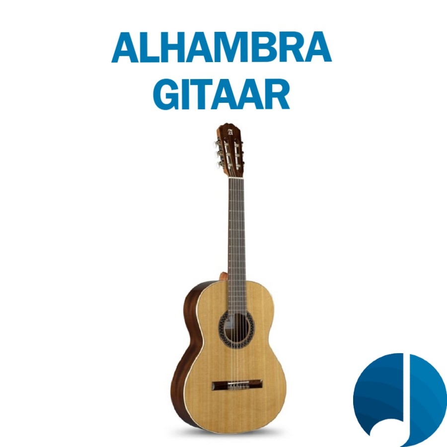 Bulk bagageruimte Strikt Alhambra gitaar kopen?