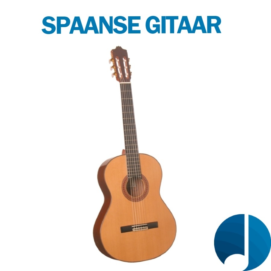 Goodwill Elektropositief omvang Spaanse gitaar